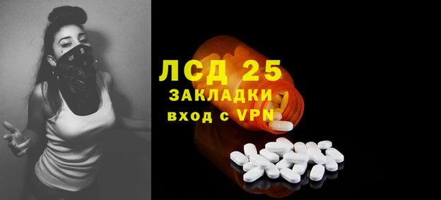a pvp Аркадак
