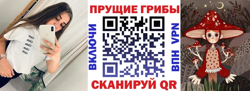 Псилоцибиновые грибы мухоморы Пойковский